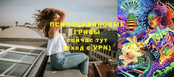 PSILOCYBIN Алексин
