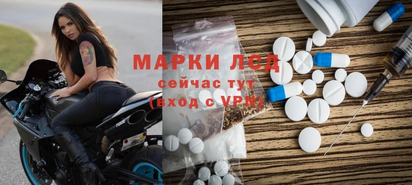 дмт Алзамай
